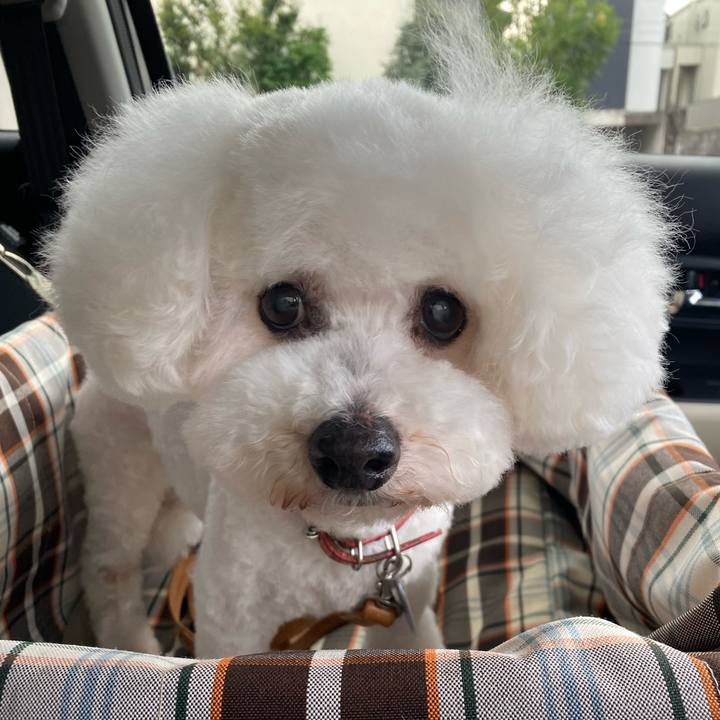 F35e51c4 dbf9 4c9d ae89 092bcdeb583c 1720500631304