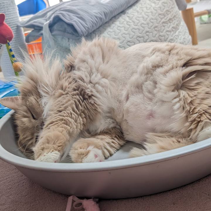 F35e9864 7a7f 4726 93c6 42275afd51ba 1753503385784