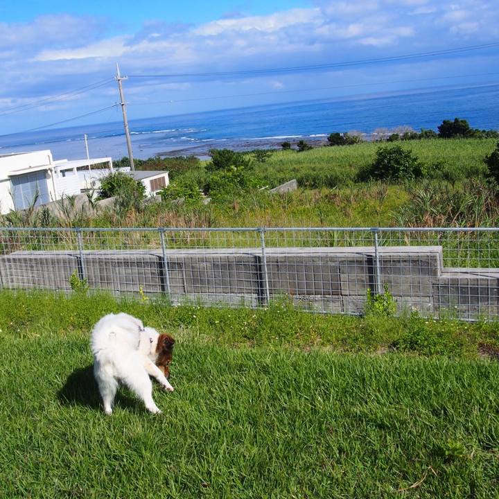 F35e9cb1 4067 4683 b9c4 9283b8b66823 1540114855361