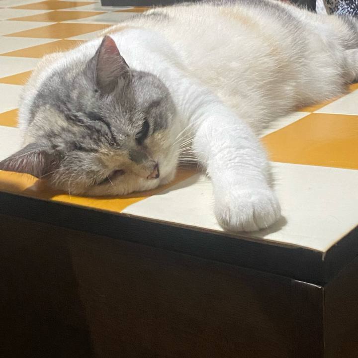 F35ec271 03f8 47ff 898c ad02a087f1b2 1753368029782