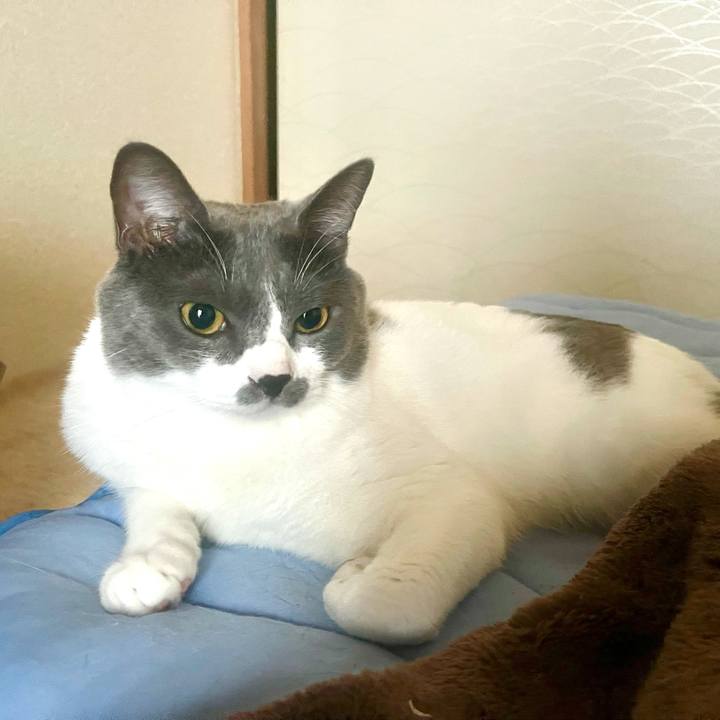 F35ed010 a167 4dd4 a38d 065b17020661 1630705012987