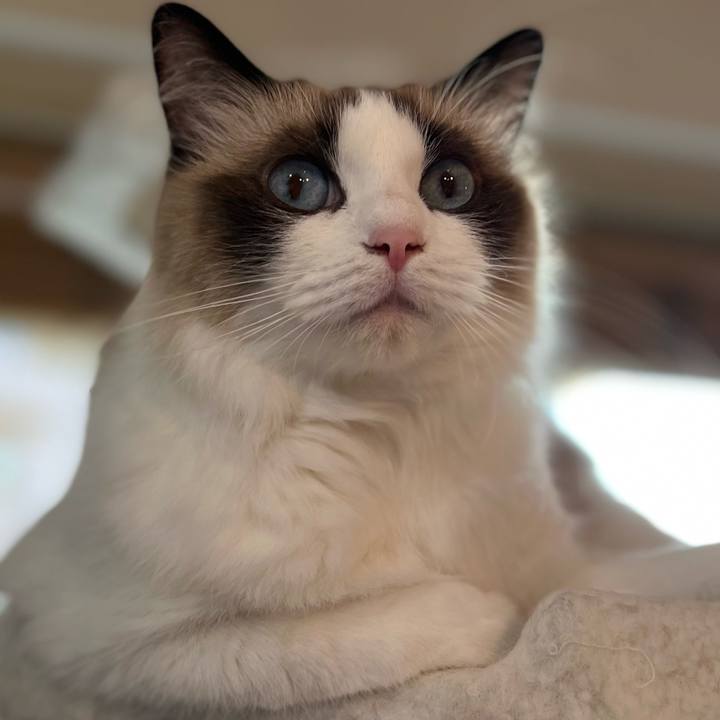 F35ed5d9 5130 4019 b46a 93cab4de0dec 1686946249011