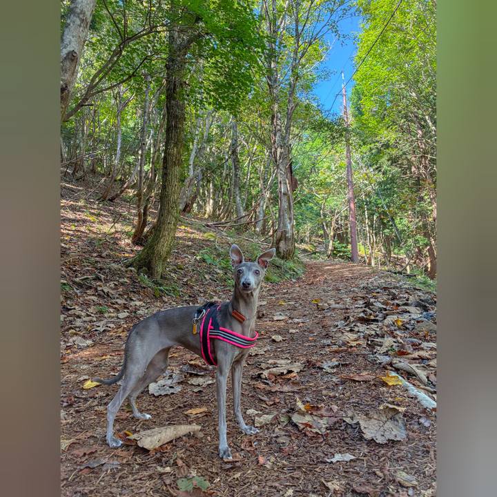 F35f035f 68a8 4722 809b d2dccab79beb 1761302074085