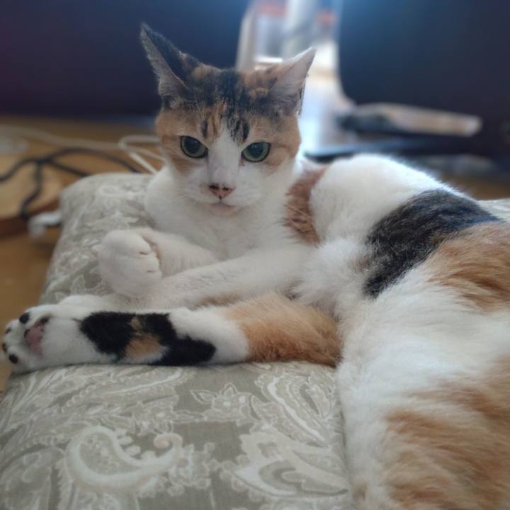 F35f0f8b ba80 4bca 96aa 137dc763c544 1726445269811