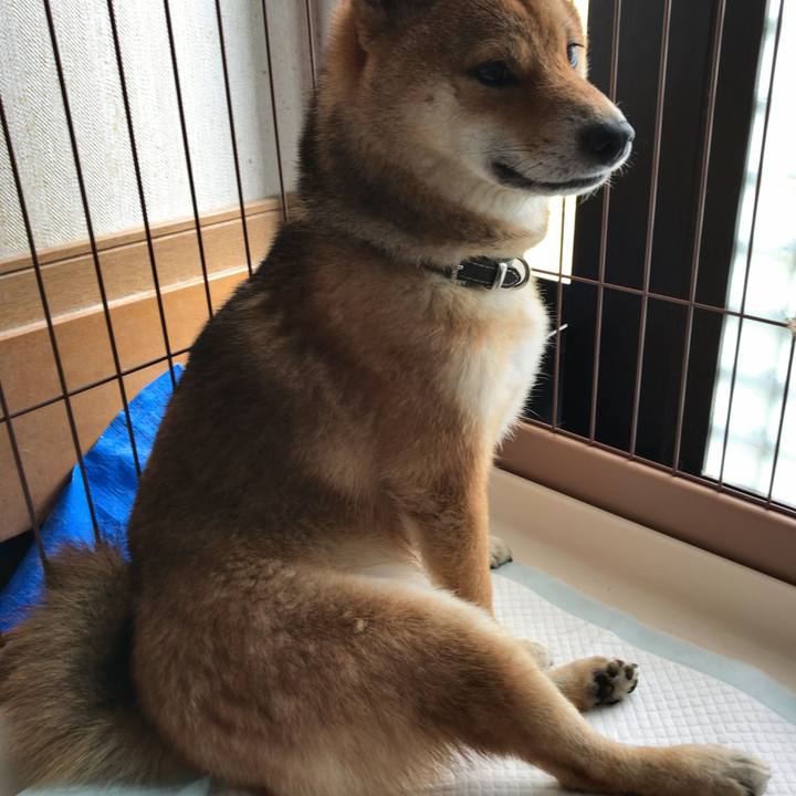 F35f15ff f866 4404 a632 ebc26bc23f37 1537786147461