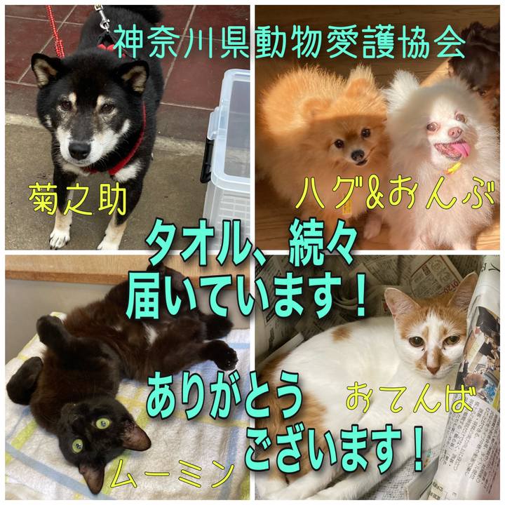 F35f42e4 b98f 4684 830c 4b5472461ebc 1626684249016