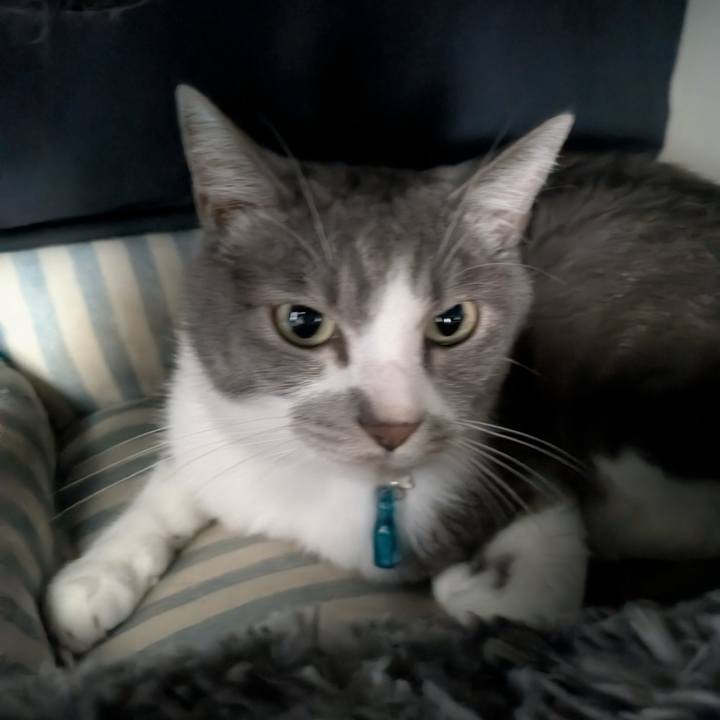 F35f85e7 9432 4658 8607 baa9f952cf9c 1759714595857