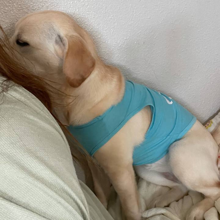 F35f9b07 7c4d 4ac4 be3e 0a5e424ab842 1623025271342