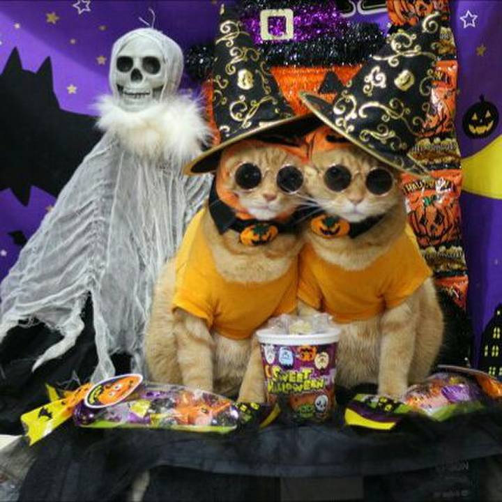 F35fc171 b11c 4045 9354 a2b8e0535764 1540915841516