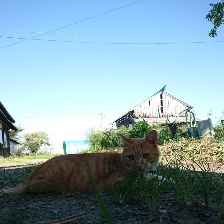 F360184c 409a 4849 ac10 a97cfe70aba9 1598253133944