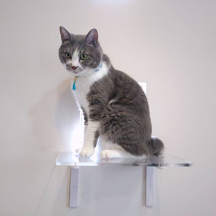 F3604d69 279f 4e63 b180 e6b3cc975192 1725185972363