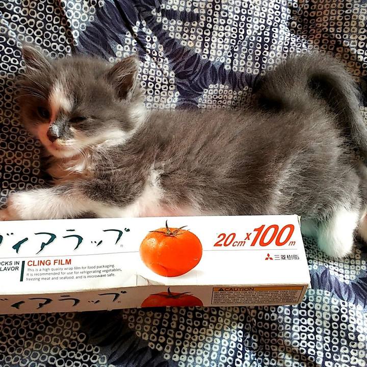 F36055da e1dd 4b8d b7cd 79c0fa2e5ba8 1585222194237