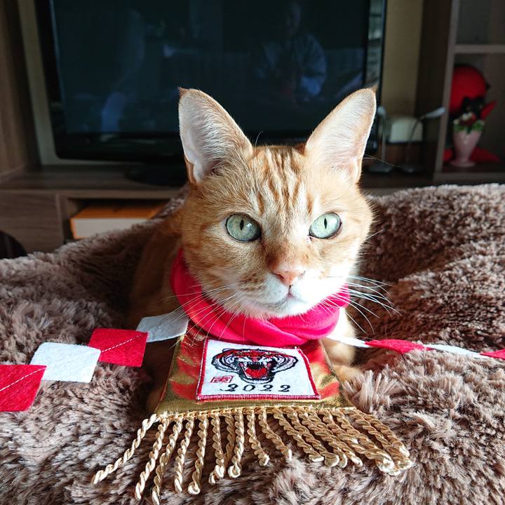 F3605741 11bb 499b b520 5545734a3919 1641339746145