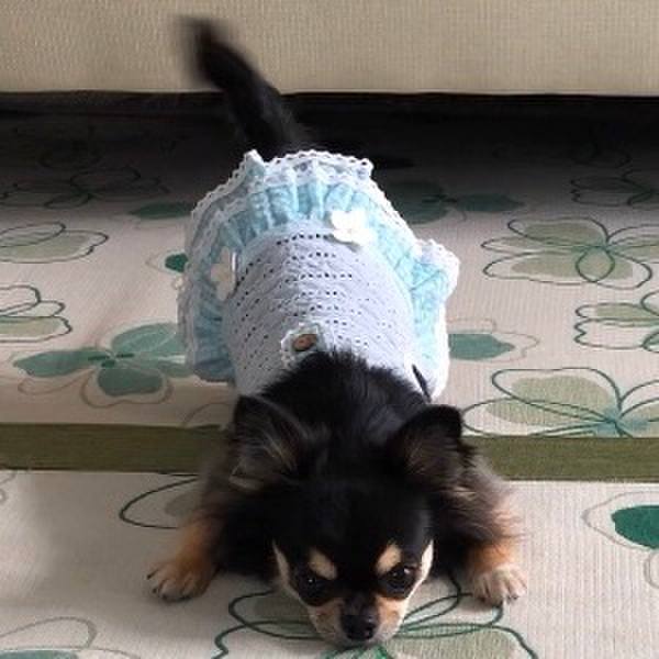 F360706b 3a5e 42d9 9699 3776a1c8c99a 1571295675607