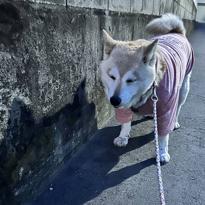 F360ba96 2b34 4754 b368 7d6c5e16e9e3 1748040895990