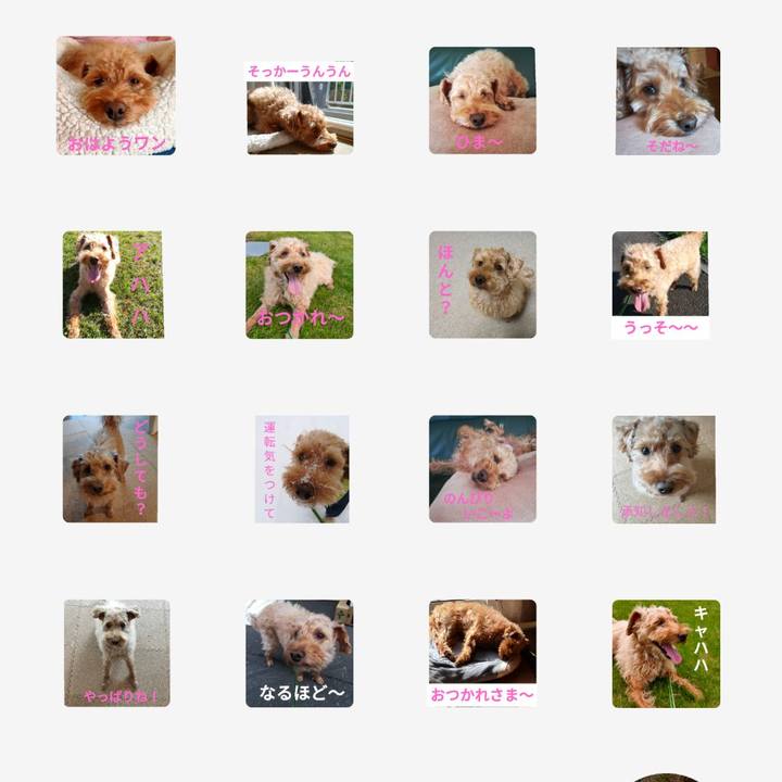 F360e016 4020 4380 bcbd de63bb2393ed 1607081567338