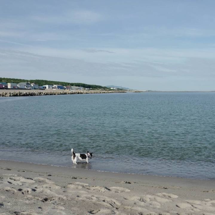 F360f14c e00d 404f 8cc7 d5338e34c4dd 1566879637192