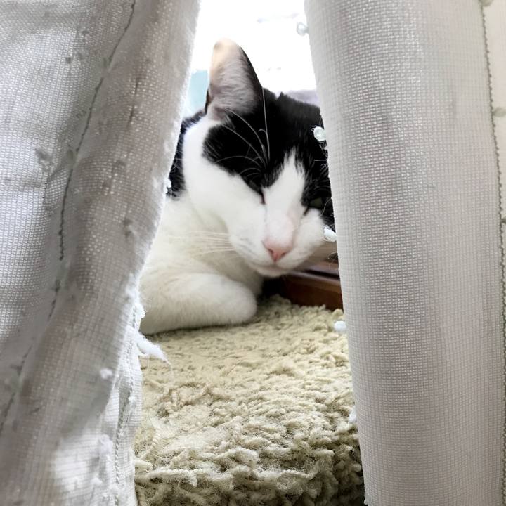 F360f5fd 51e4 4c51 8a9a 273f910e17c5 1519397334142