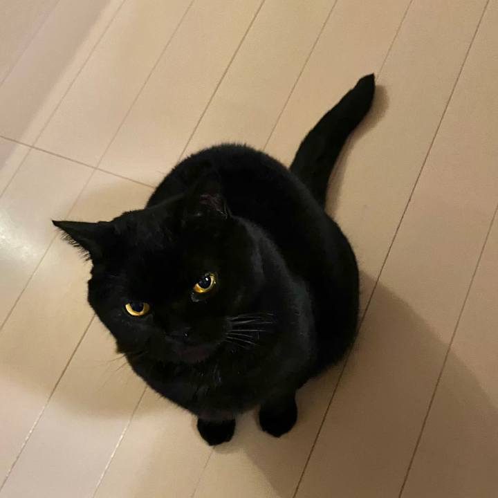 F3610b5b d4c4 4449 a71b ee88fbfa6890 1735387695632