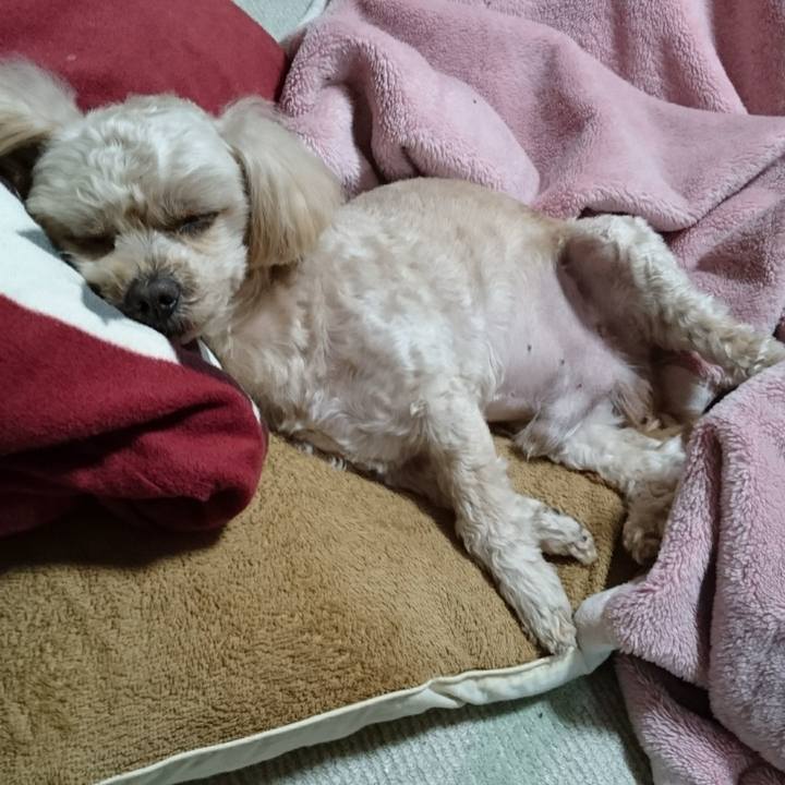 F36131e4 b40f 4c8a 8d94 89723c727948 1580260189218