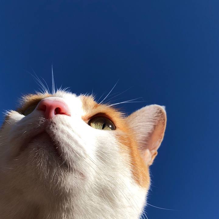 F3614b7d 46ca 4975 86e5 5d5ac82c1caa 1542939167288