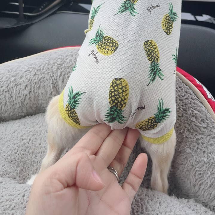 F3614eaf 9db4 4348 98d2 89f5517d73fa 1722154113242