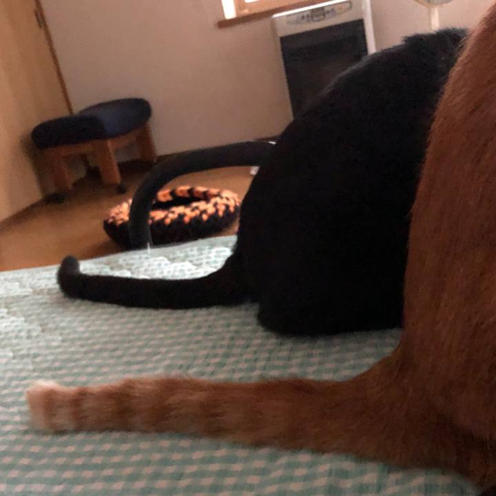 F3616c82 b696 4965 879e a730095b2cfc 1663015354081