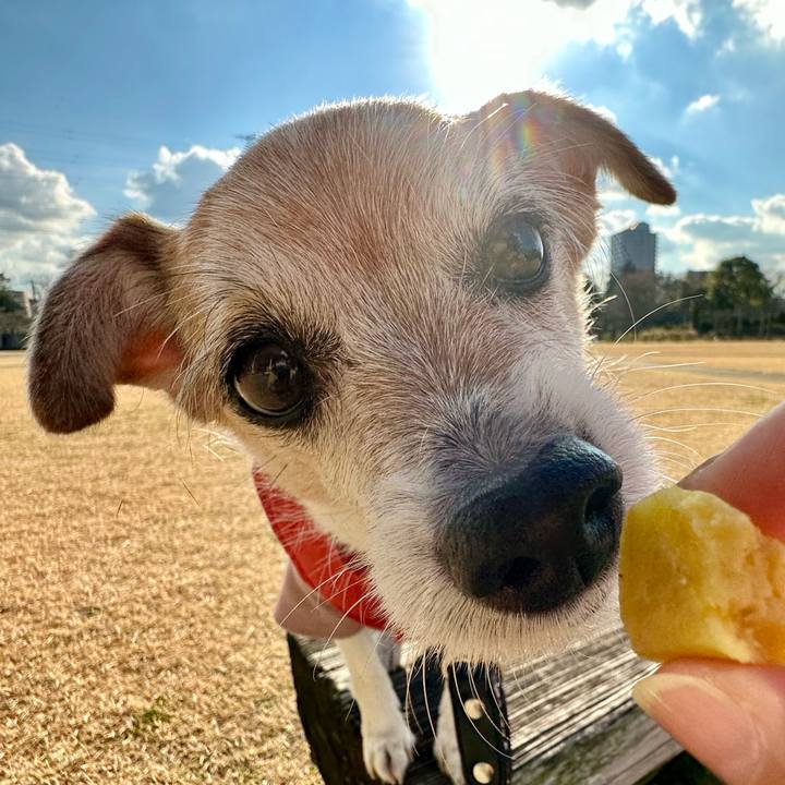 F3616d51 c998 49fd a38b 46a48c33b074 1673078121908