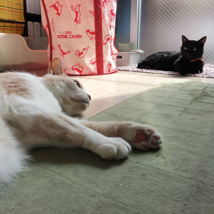 F3618925 fa3d 40a4 847a f5bb5f51c349 1650681705626