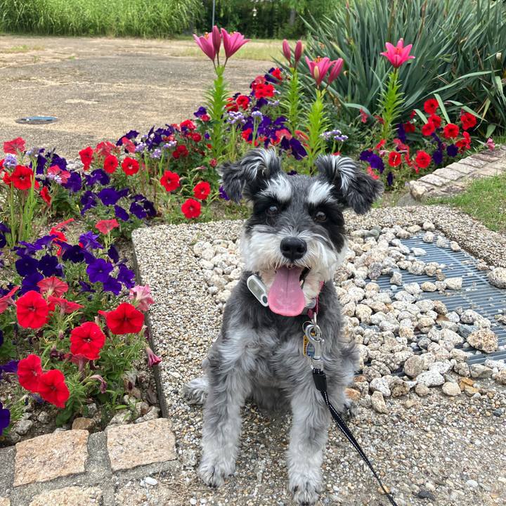 F3618f5c ef43 46ea bfe4 254ca316ebb3 1749277479778