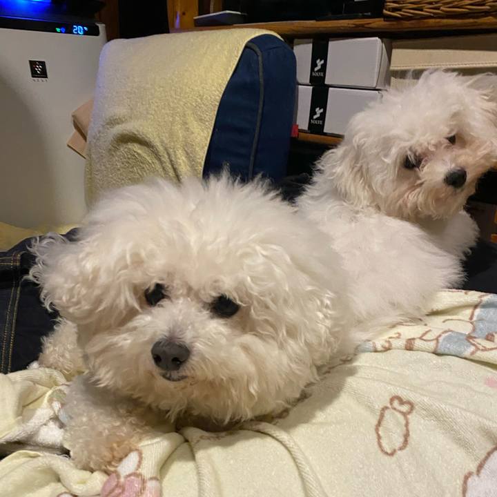 F36190c6 16ed 4dd9 bae1 1a9aee0e0ad1 1745670095804