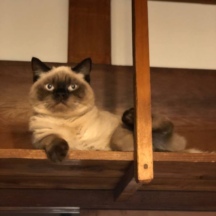 F361a93e 350b 402a a06f 52acc0c6612c 1597532607750