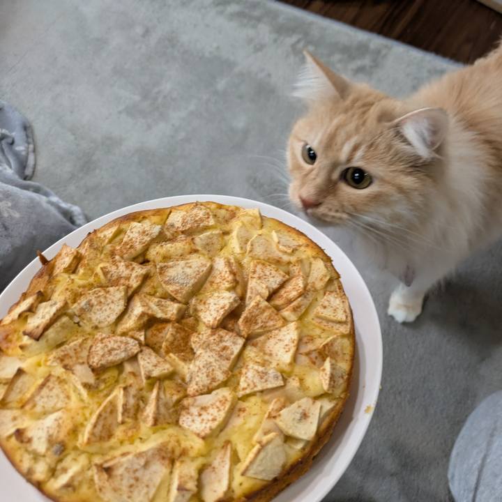 F361c0c6 be98 45ae a42a adbdd318b72b 1743836896856