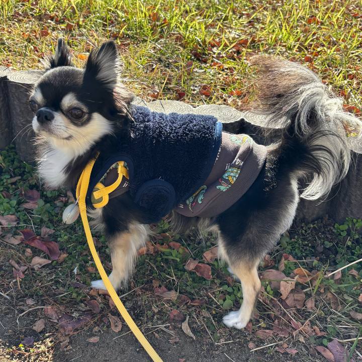 F361eb7d c5d7 4c1d 8050 4a4ed34c275a 1736612932648