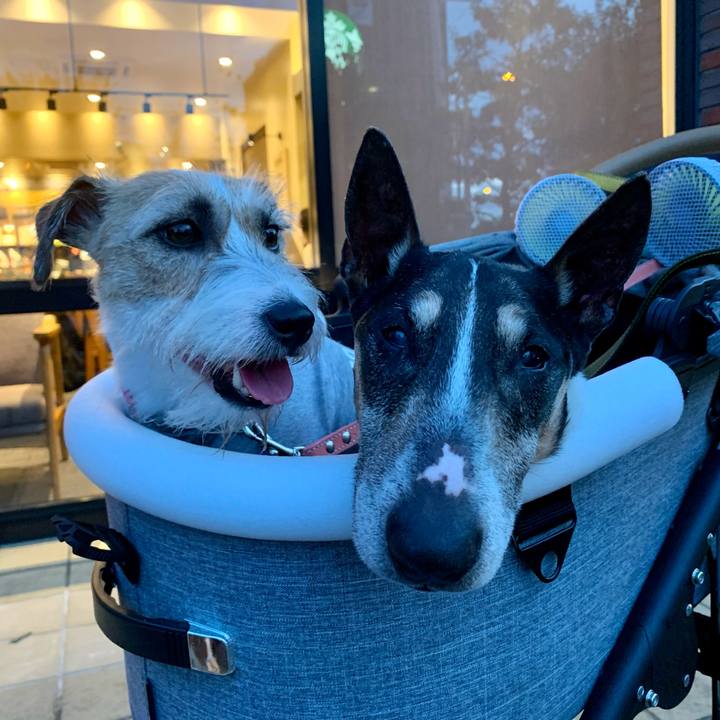 F3621e7f 954e 49b1 9c21 ac79da05b91d 1629461819624