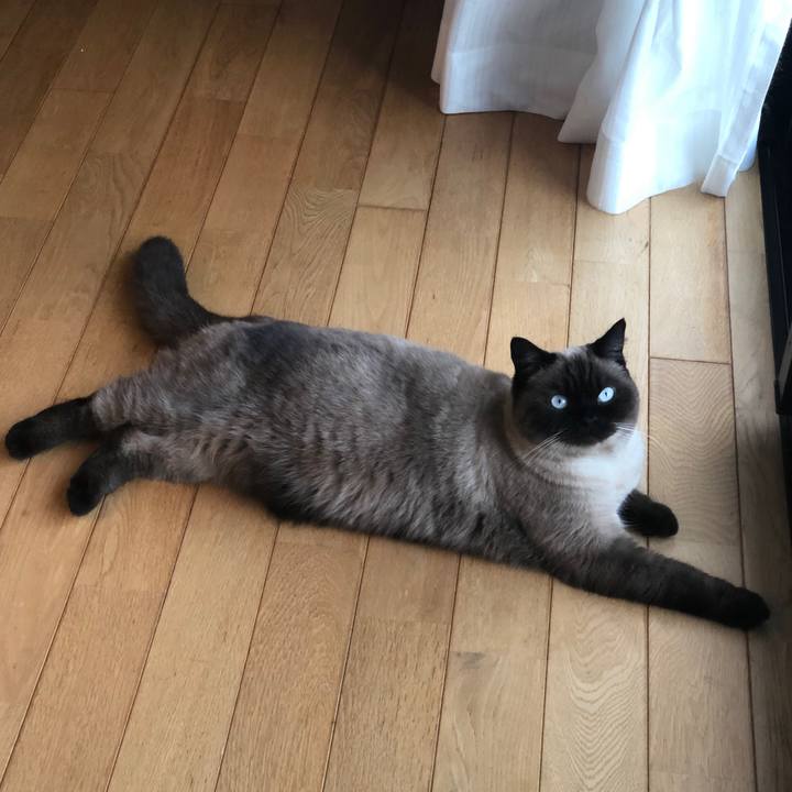 F3622539 45a5 4163 bc17 1c3e1642f8de 1613648192598