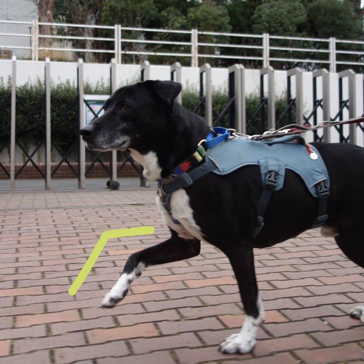 F3624c2c e1da 45c3 b6ed 6f933c6c9193 1711154367799