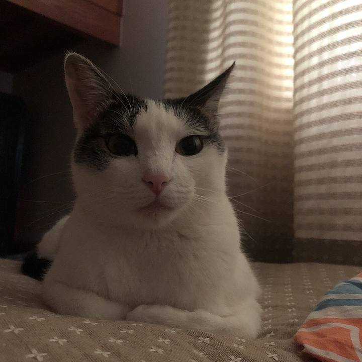 F3627020 5106 419e 8b5e 1de55061504b 1689117196593