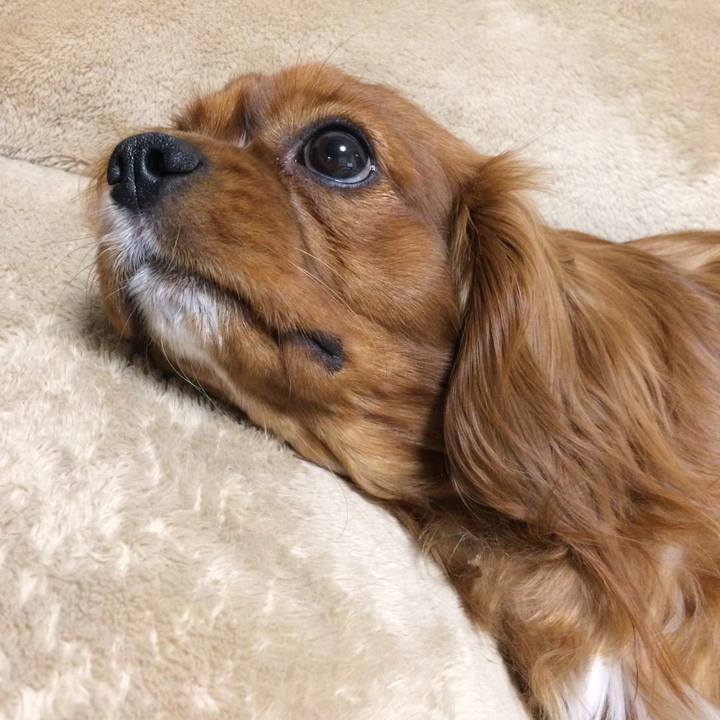 F36274c1 33a4 4d24 ae8d e1bbe1c99619 1520546784302