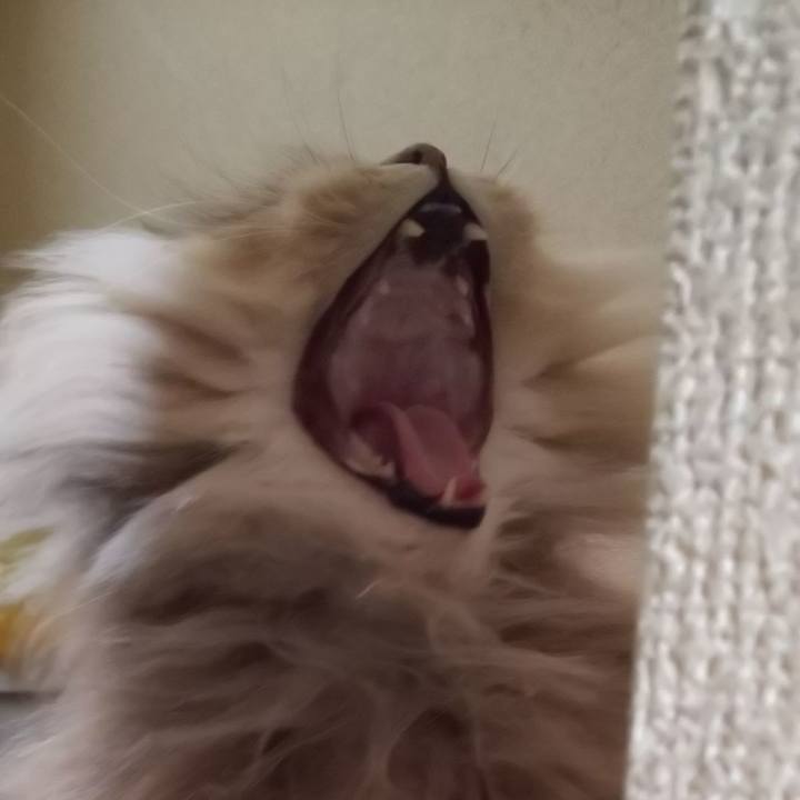 F3628a81 477e 48c4 8bdd 5b555fbd8c7e 1613004946334