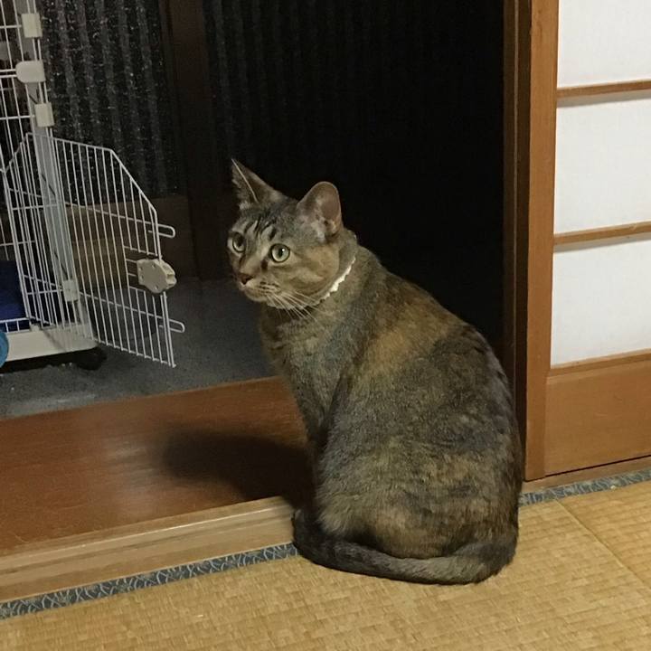 F3629452 ffc4 4297 95e2 8ec93d3f49d0 1686834635816