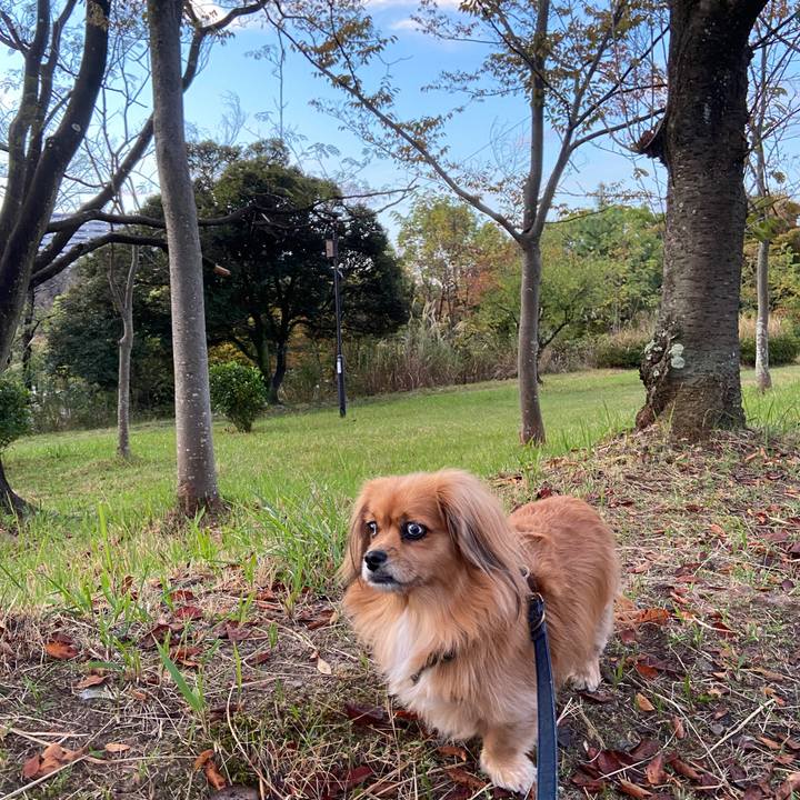 F36298ca 2c7e 4ea4 a477 aa900e0a3485 1635716874388