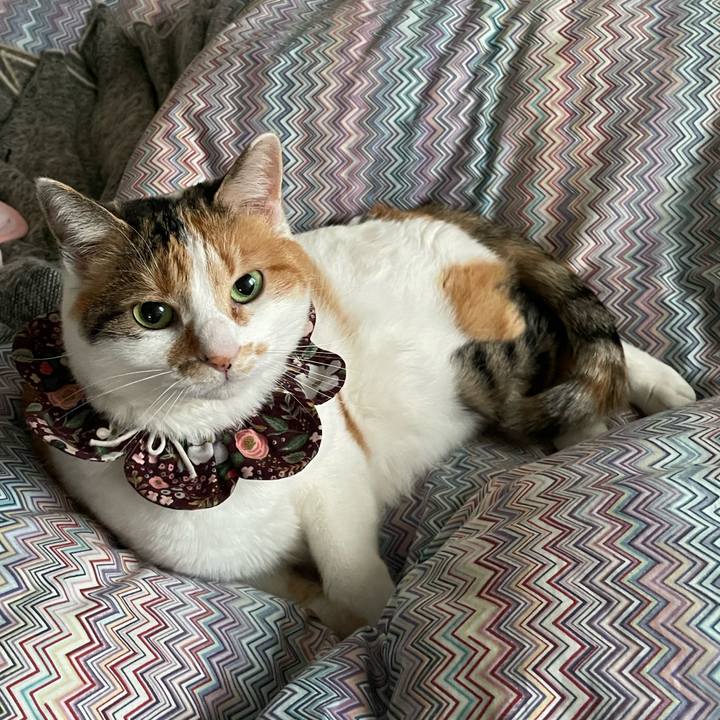 F362b8e7 ee8d 4703 abcc 914ee164dae0 1741649465026