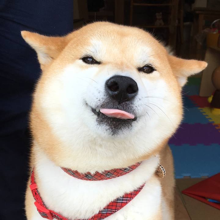 F362c8b0 e5da 4144 ae9a 90ec29cb5cbe 1546820959525