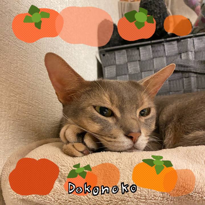 F362cbb9 4811 4044 a5a1 0c5a730814b2 1761521587945