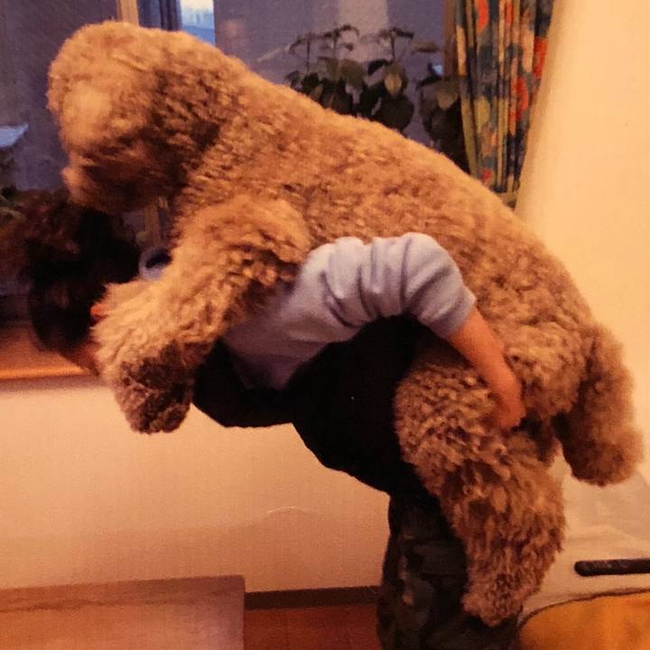 F363169f 1d54 4da6 858d 639e2ced2f51 1516175727380