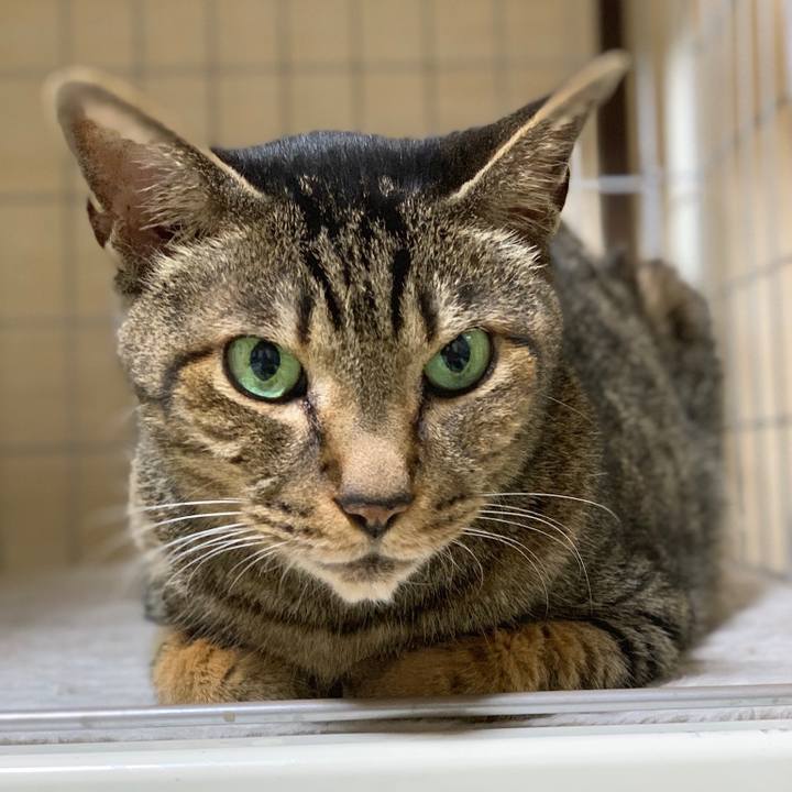 F363185a 4461 46d2 9596 3afd906fde27 1559609366442