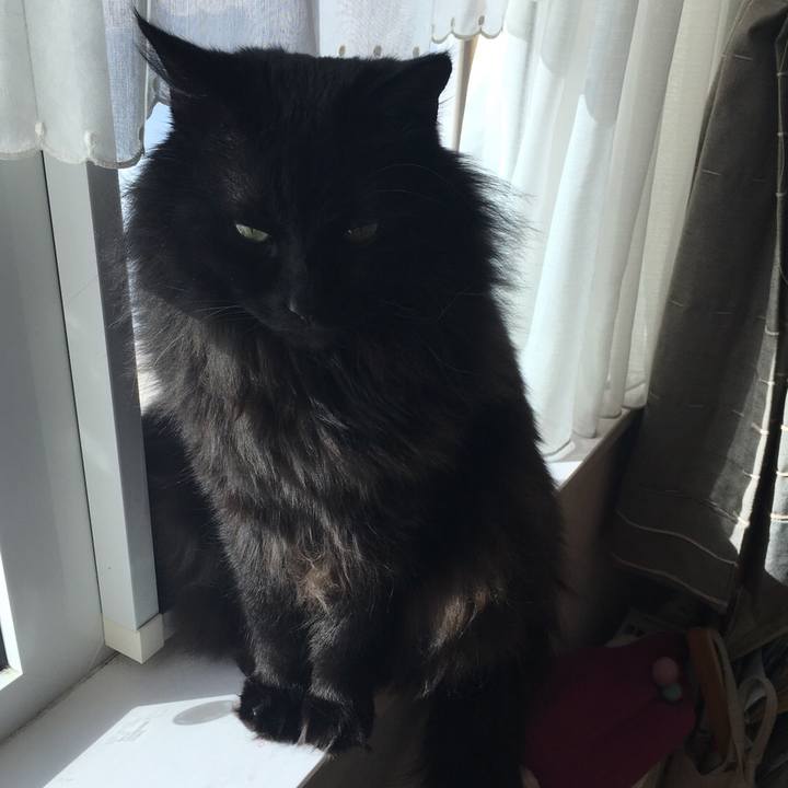 F36320ac b650 4dde 8b58 1c4b72a76de0 1549958861465