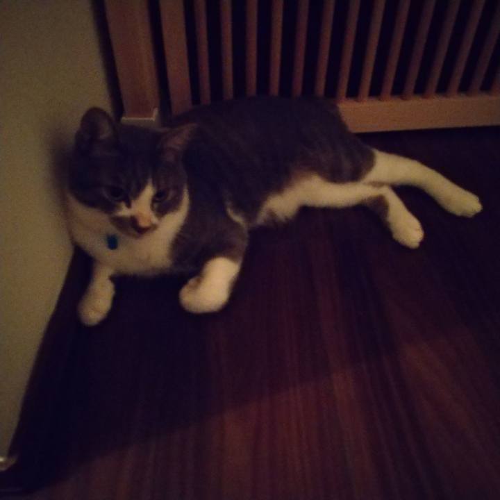 F363360b 6e51 42c7 9dcb c3b83114c893 1598803746113