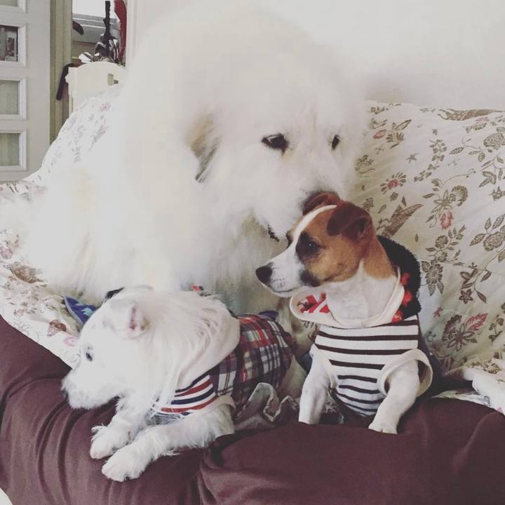 F363a4fa 3eda 4418 aee7 b05040fc7ed8 1646889421545